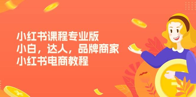 小红书课程专业版，小白，达人，品牌商家，小红书电商教程(15节-源码天堂