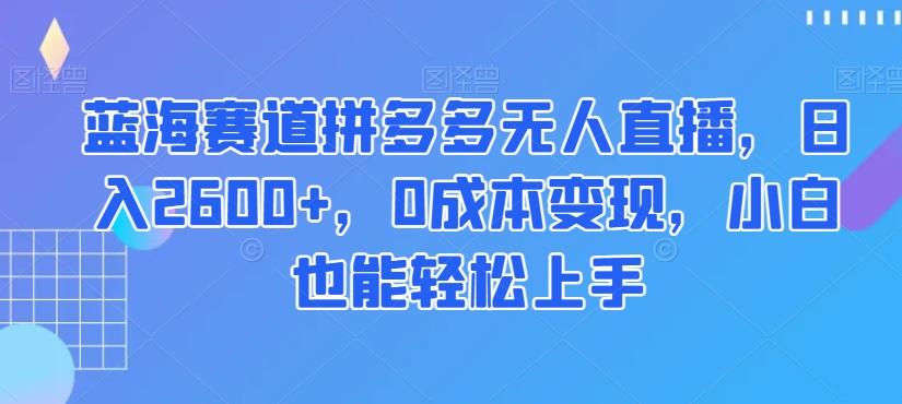 蓝海赛道拼多多无人直播，日入2600+，0成本变现，小白也能轻松上手【揭秘】-源码天堂