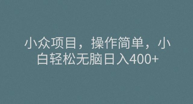 小众项目，操作简单，小白轻松无脑日入400+-源码天堂