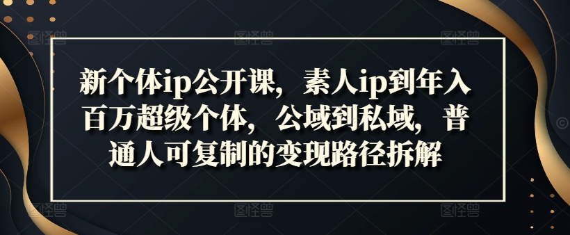 新个体ip公开课，素人ip到年入百万超级个体，公域到私域，普通人可复制的变现路径拆解-源码天堂