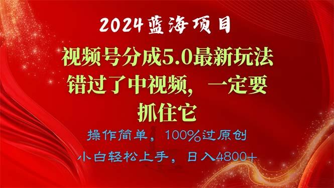 2024蓝海项目，视频号分成计划5.0最新玩法，错过了中视频，一定要抓住…-源码天堂
