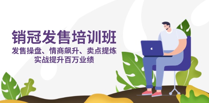 （14203期）销冠 发售培训班：发售 操盘+情商 飙升+卖点 提炼，实战提升百万业绩-源码天堂