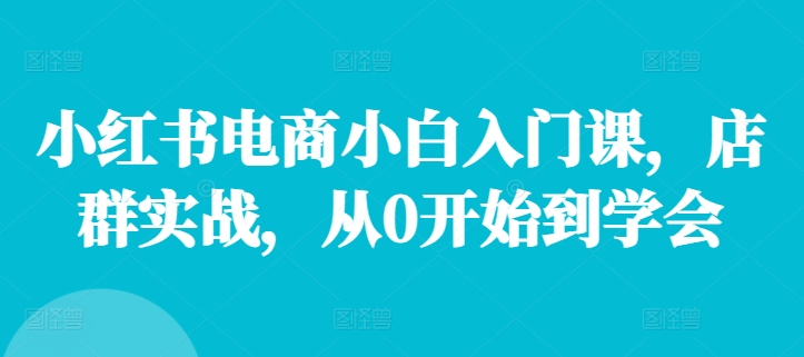 小红书电商小白入门课，店群实战，从0开始到学会-源码天堂