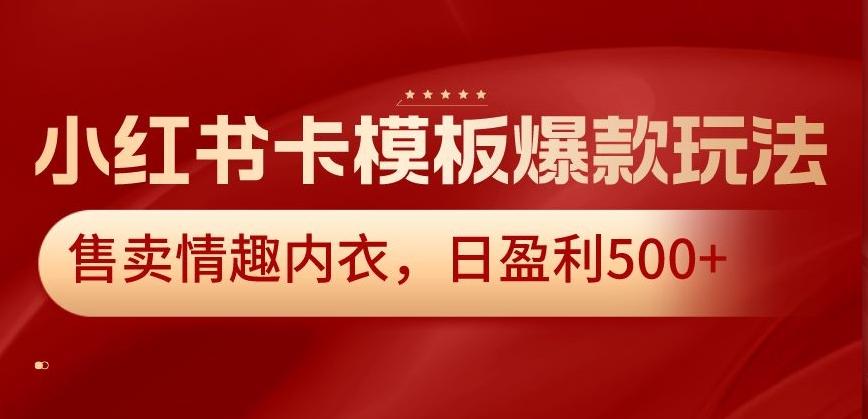 小红书卡模板爆款玩法，售卖情趣内衣，日盈利500+【揭秘】-源码天堂