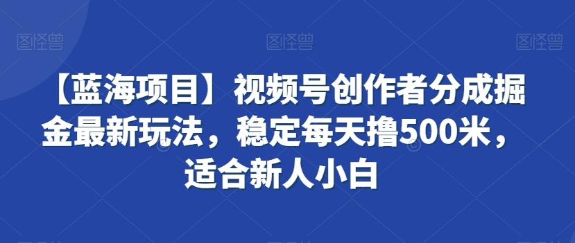 【蓝海项目】视频号创作者分成掘金最新玩法，稳定每天撸500米，适合新人小白【揭秘】-源码天堂