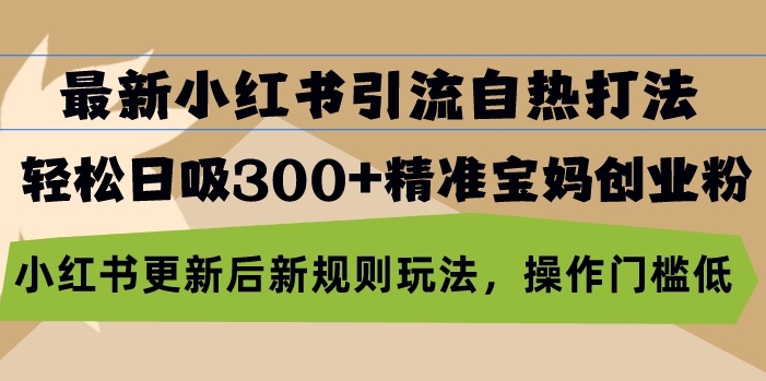最新小红书引流自热打法，轻松日吸300+精准宝妈创业粉，小红书更新后新…-源码天堂