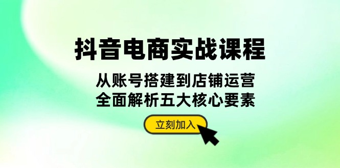 抖音 电商实战课程：从账号搭建到店铺运营，全面解析五大核心要素-源码天堂