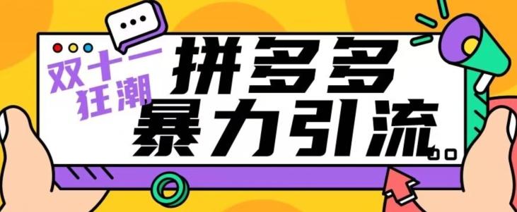 【首发】双十一拼多多暴力引流，日引300+微信-源码天堂