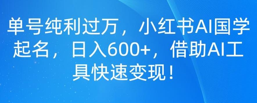 单号纯利过万，小红书AI国学起名，日入600+，借助AI工具快速变现-源码天堂