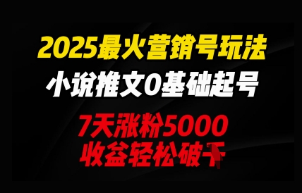 2025最火营销号玩法：小说推文0基础起号，7天涨粉5000，收益轻松破k-源码天堂
