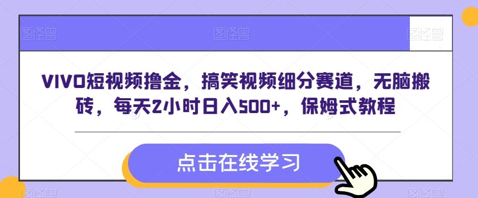 VIVO短视频撸金，搞笑视频细分赛道，无脑搬砖，每天2小时日入500+，保姆式教程-源码天堂