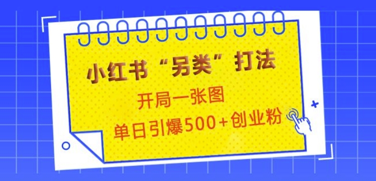 小红书“另类”打法，开局一张图，单日引爆500+精准创业粉【揭秘】-源码天堂
