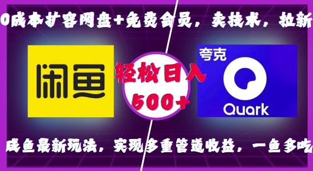 0成本扩容网盘+免费会员，卖技术，拉新，咸鱼最新玩法，实现多重管道收益，一鱼多吃，轻松日入500+-源码天堂
