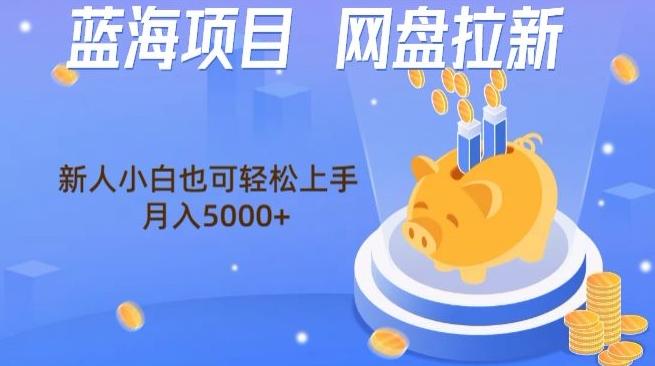 蓝海项目网盘拉新，新人小白也可操作，每月收入5000+-源码天堂