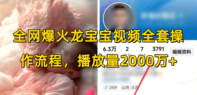 全网爆火龙宝宝视频全套操作流程，播放量2000万+-源码天堂