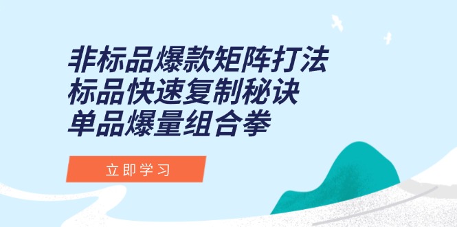 非标品爆款矩阵打法，标品快速复制秘诀，单品爆量组合拳-源码天堂