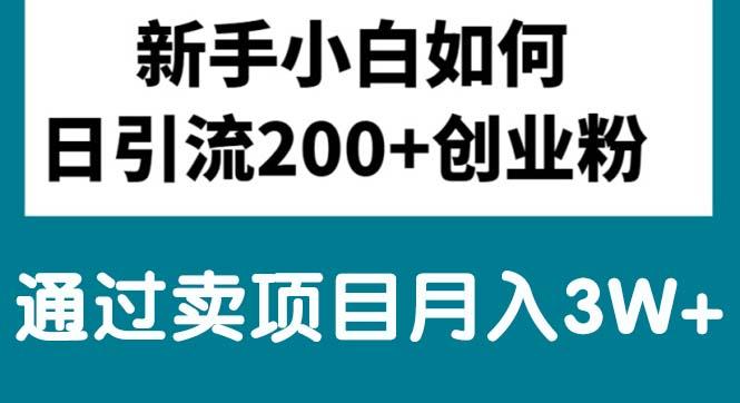 新手小白日引流200+创业粉,通过卖项目月入3W+-源码天堂