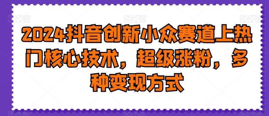 2024抖音创新小众赛道上热门核心技术，超级涨粉，多种变现方式【揭秘】-源码天堂