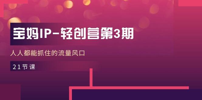宝妈IP-轻创营第3期，人人都能抓住的流量风口(21节课-源码天堂