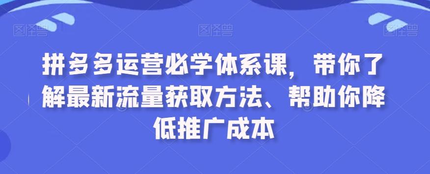 拼多多运营必学体系课，带你了解最新流量获取方法、帮助你降低推广成本-源码天堂
