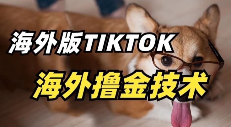抖音海外版tiktok撸金技术，这个风口行业，赚钱真的不难【揭秘】-源码天堂