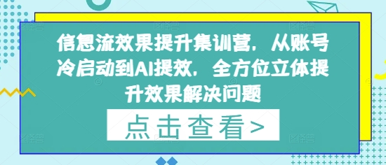 信息流效果提升集训营，从账号冷启动到AI提效，全方位立体提升效果解决问题-源码天堂