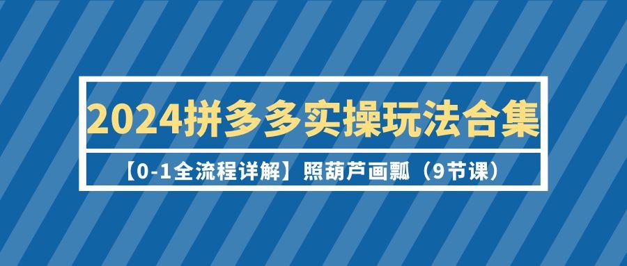 (9559期)2024拼多多实操玩法合集【0-1全流程详解】照葫芦画瓢(9节课)-源码天堂