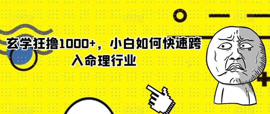 玄学狂撸1000+，小白如何快速跨入命理行业-源码天堂