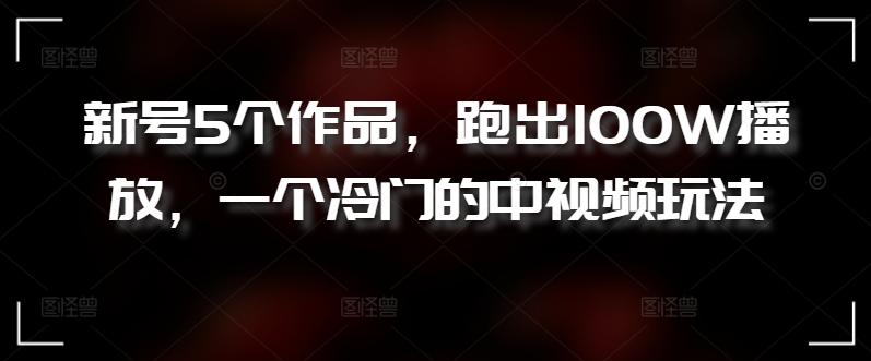 新号5个作品，跑出100W播放，一个冷门的中视频玩法【揭秘】-源码天堂