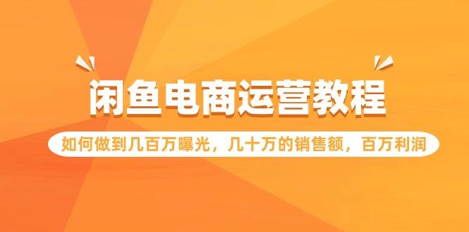 (9560期)闲鱼电商运营教程：如何做到几百万曝光，几十万的销售额，百万利润-源码天堂