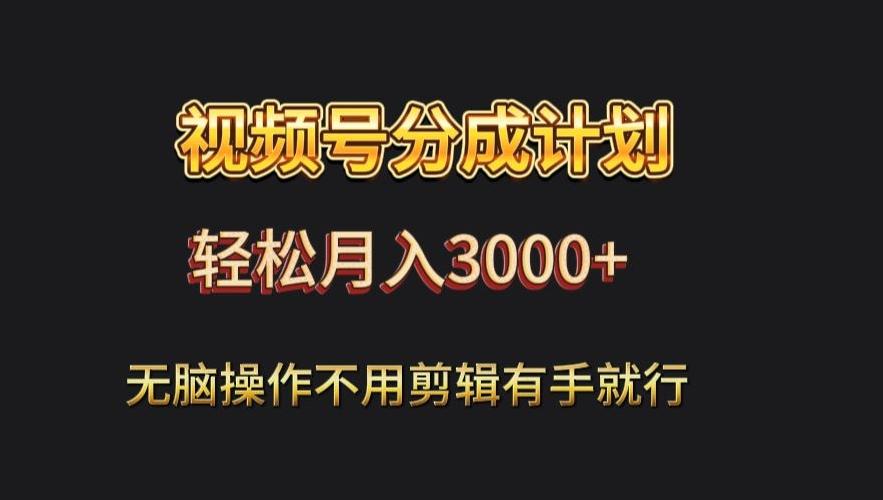 视频号流量分成，不用剪辑，有手就行，轻松月入2000+-源码天堂
