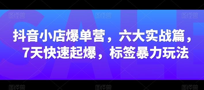 抖音小店爆单营，六大实战篇，7天快速起爆，标签暴力玩法-源码天堂
