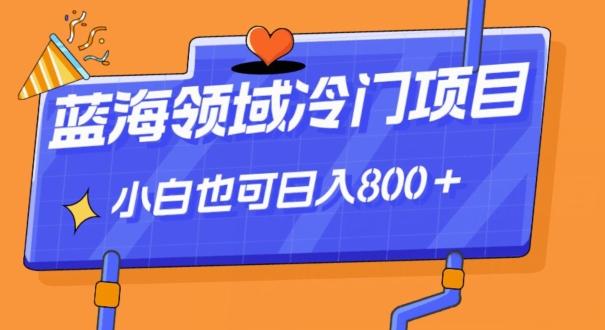 蓝海领域冷门赛道，一单39.9，日入800＋-源码天堂
