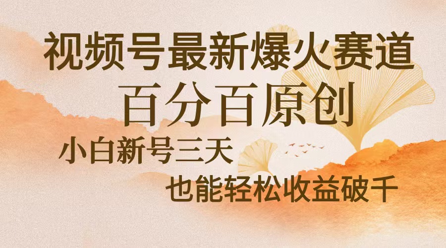 视频号最新爆火赛道，中老年粉深信不疑，百分百原创，新号三天收益轻松…-源码天堂