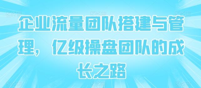 企业流量团队搭建与管理，亿级操盘团队的成长之路-源码天堂