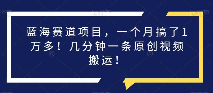 蓝海赛道项目，一个月搞了1万多！几分钟一条原创视频搬运！-源码天堂