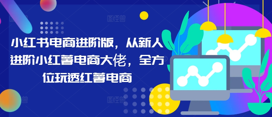 小红书电商进阶版，从新人进阶小红薯电商大佬，全方位玩透红薯电商-源码天堂
