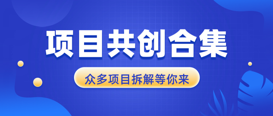 项目共创合集，从0-1全过程拆解，让你迅速找到适合自已的项目-源码天堂