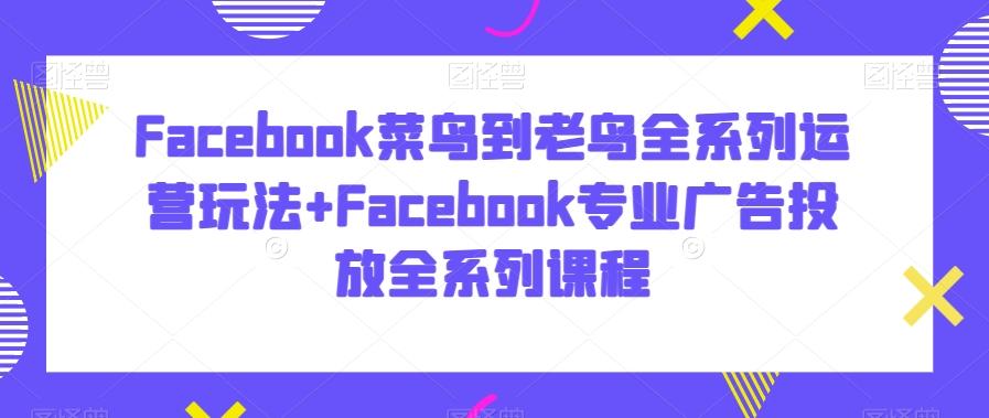 Facebook菜鸟到老鸟全系列运营玩法+Facebook专业广告投放全系列课程-源码天堂