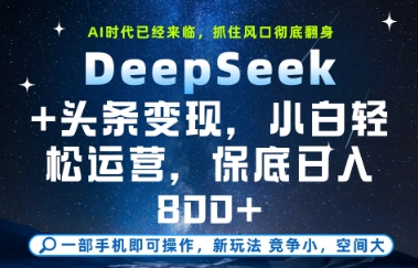 DeepSeek+头条变现，保姆级教学，小白轻松上手，日入8张+【揭秘】-源码天堂