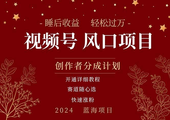 拥有睡眠收益的微信视频号大风口项目，轻松月入过万+，多赛道选择，可…-源码天堂