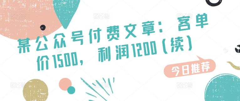 某公众号付费文章：客单价1500，利润1200(续)，市场几乎可以说是空白的-源码天堂