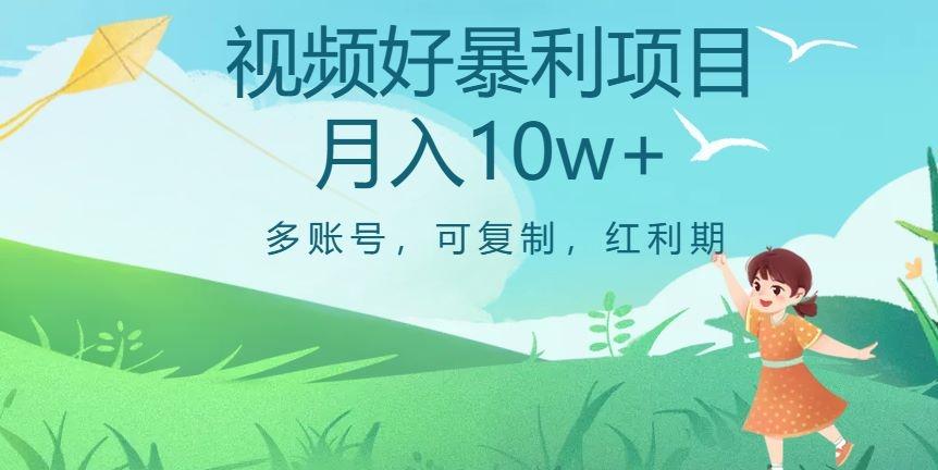 外边收费699项目，视频号暴利项目，多账号可复制，红利期-源码天堂