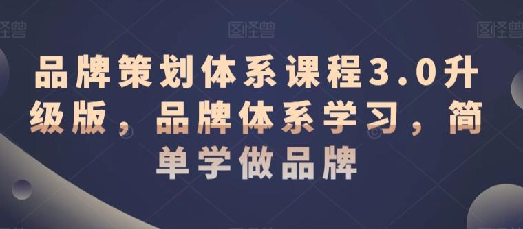 品牌策划体系课程3.0升级版，品牌体系学习，简单学做品牌-源码天堂
