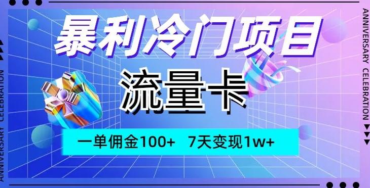 暴利冷门项目，流量卡，一单佣金100+，7天变现1w+-源码天堂