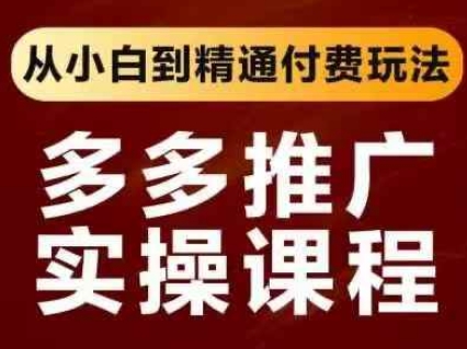 拼多多推广实操课程，从小白到精通付费玩法-源码天堂