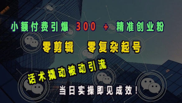 小额付费引爆 300 + 精准创业粉，零剪辑、零复杂起号，话术撬动被动引流，当日实操即见成效-源码天堂