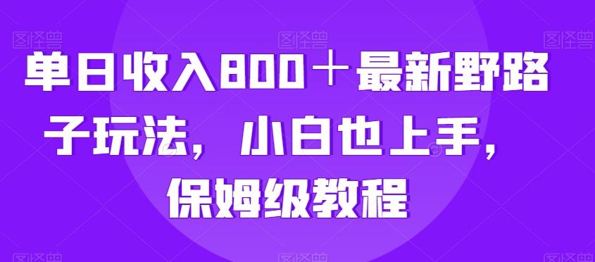 单日收入800＋最新野路子玩法，小白也上手，保姆级教程-源码天堂