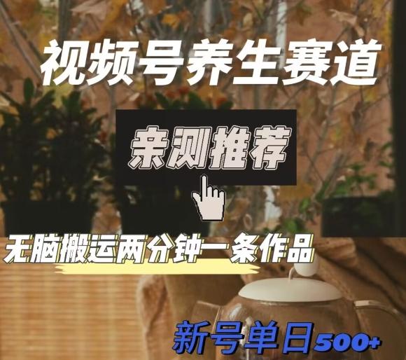 视频号养生赛道暴力掘金，无脑搬运，两分钟一条作品-新日单入500+-源码天堂