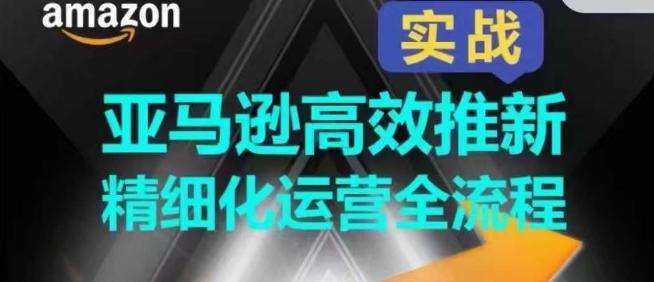 亚马逊高效推新精细化运营全流程，全方位、快速拉升产品排名和销量!-源码天堂